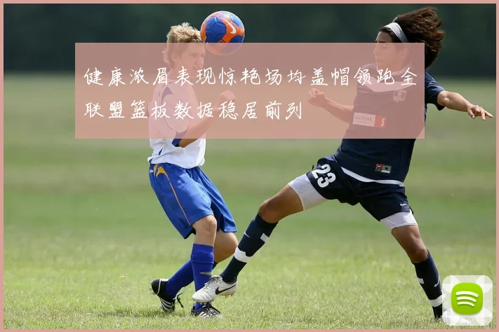 健康浓眉表现惊艳场均盖帽领跑全联盟篮板数据稳居前列