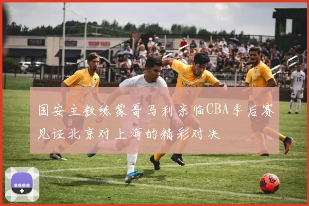 国安主教练蒙哥马利亲临CBA季后赛见证北京对上海的精彩对决
